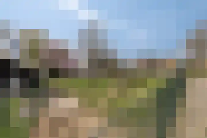 Pruimendijk 2 c Ridderkerk thumbnail 31