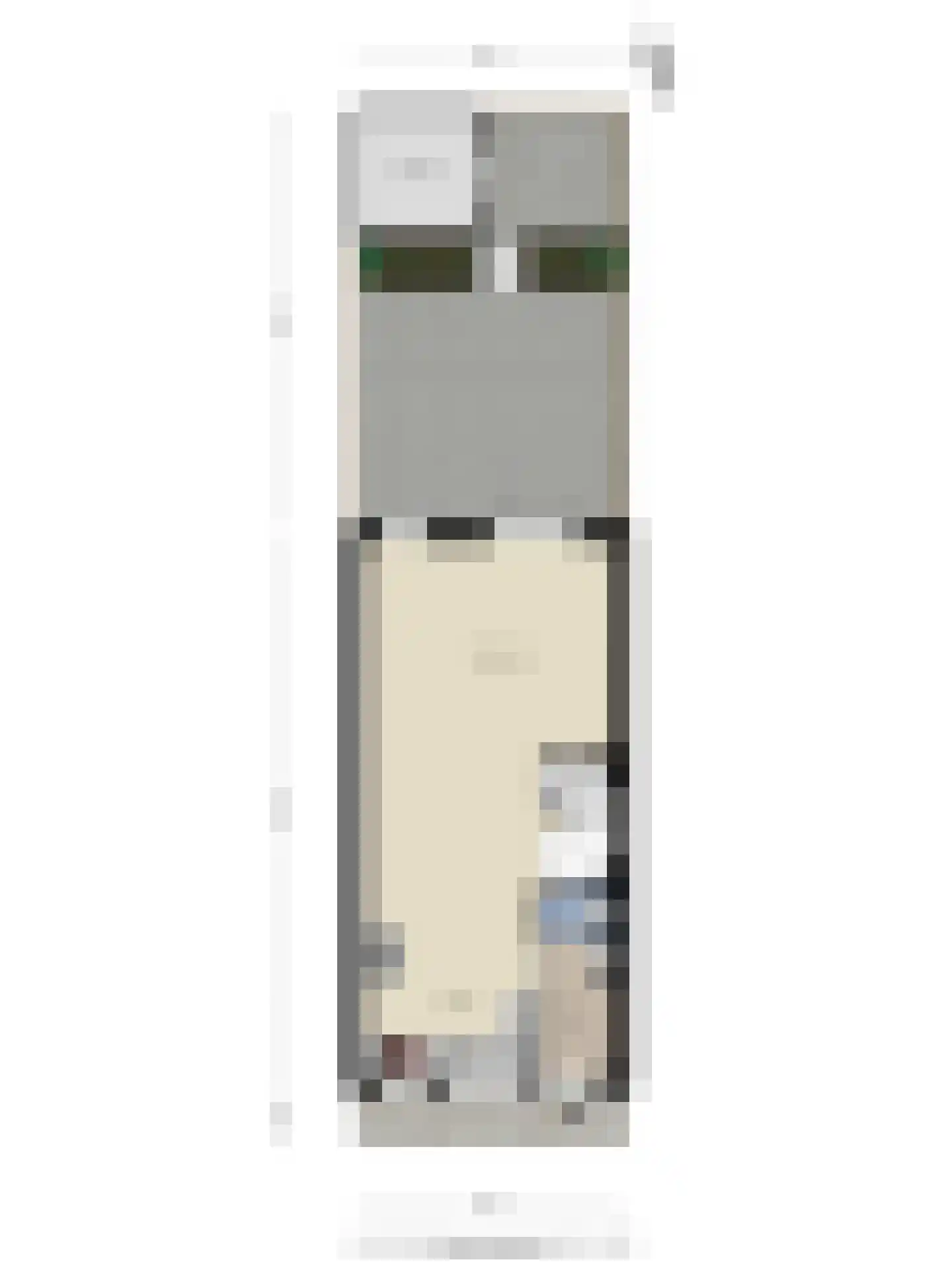 Pruimendijk 2 c Ridderkerk thumbnail 33