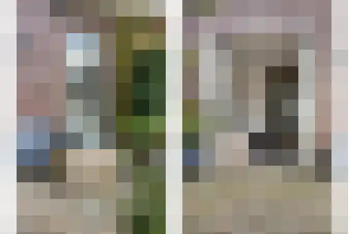 Pruimendijk 2 c Ridderkerk thumbnail 4