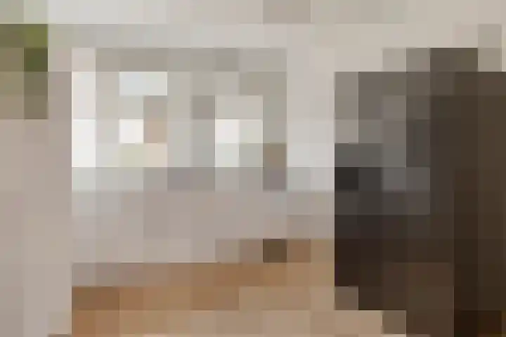 Pruimendijk 2 c Ridderkerk thumbnail 6