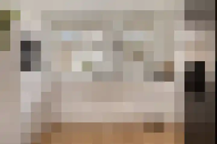 Pruimendijk 2 c Ridderkerk thumbnail 7