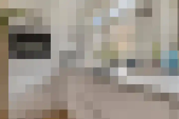 Pruimendijk 2 c Ridderkerk thumbnail 8