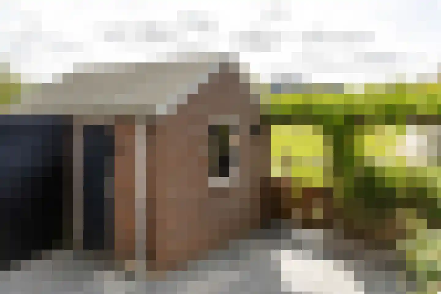 Pruimendijk 212 b Ridderkerk thumbnail 30