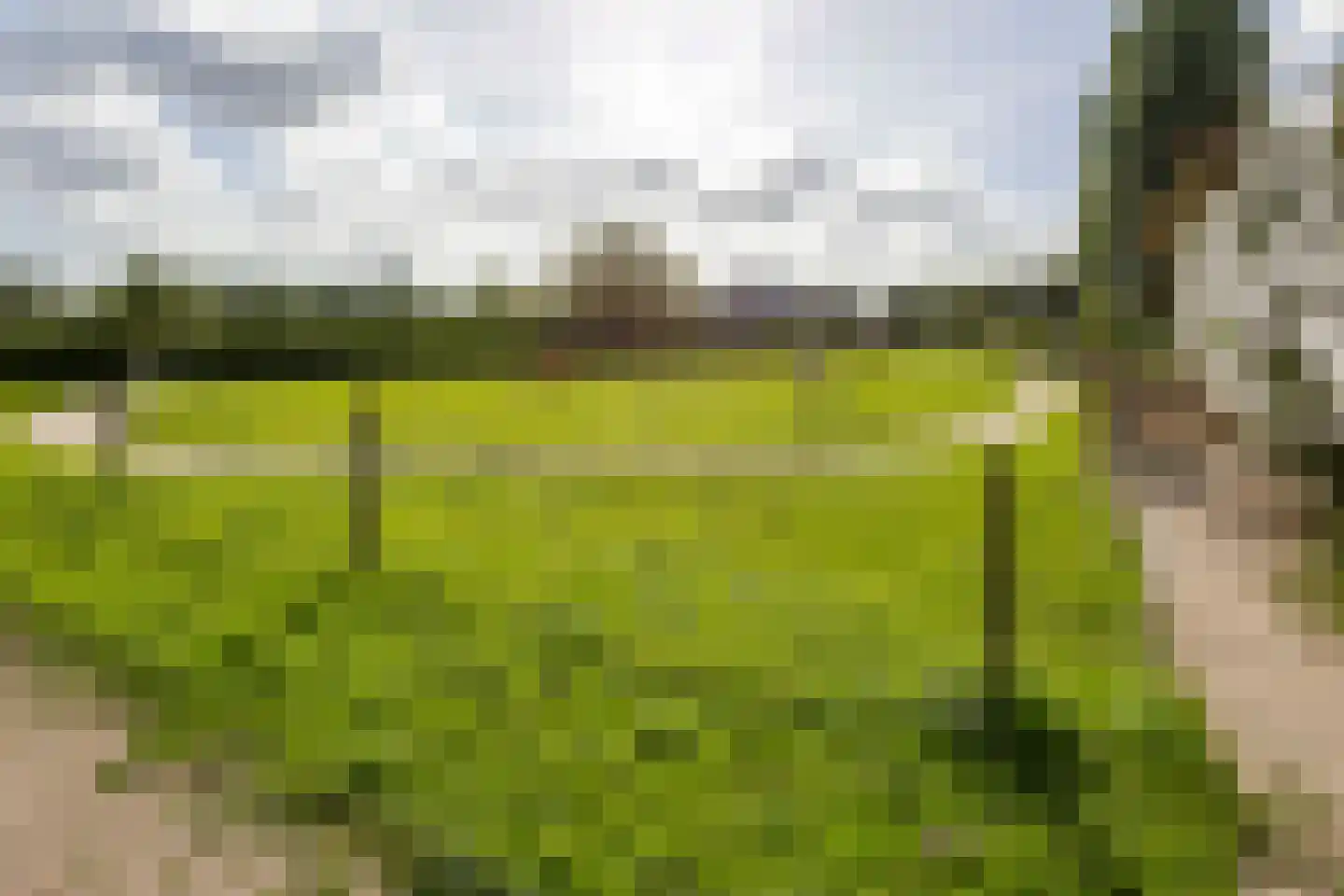 Pruimendijk 212 b Ridderkerk thumbnail 32