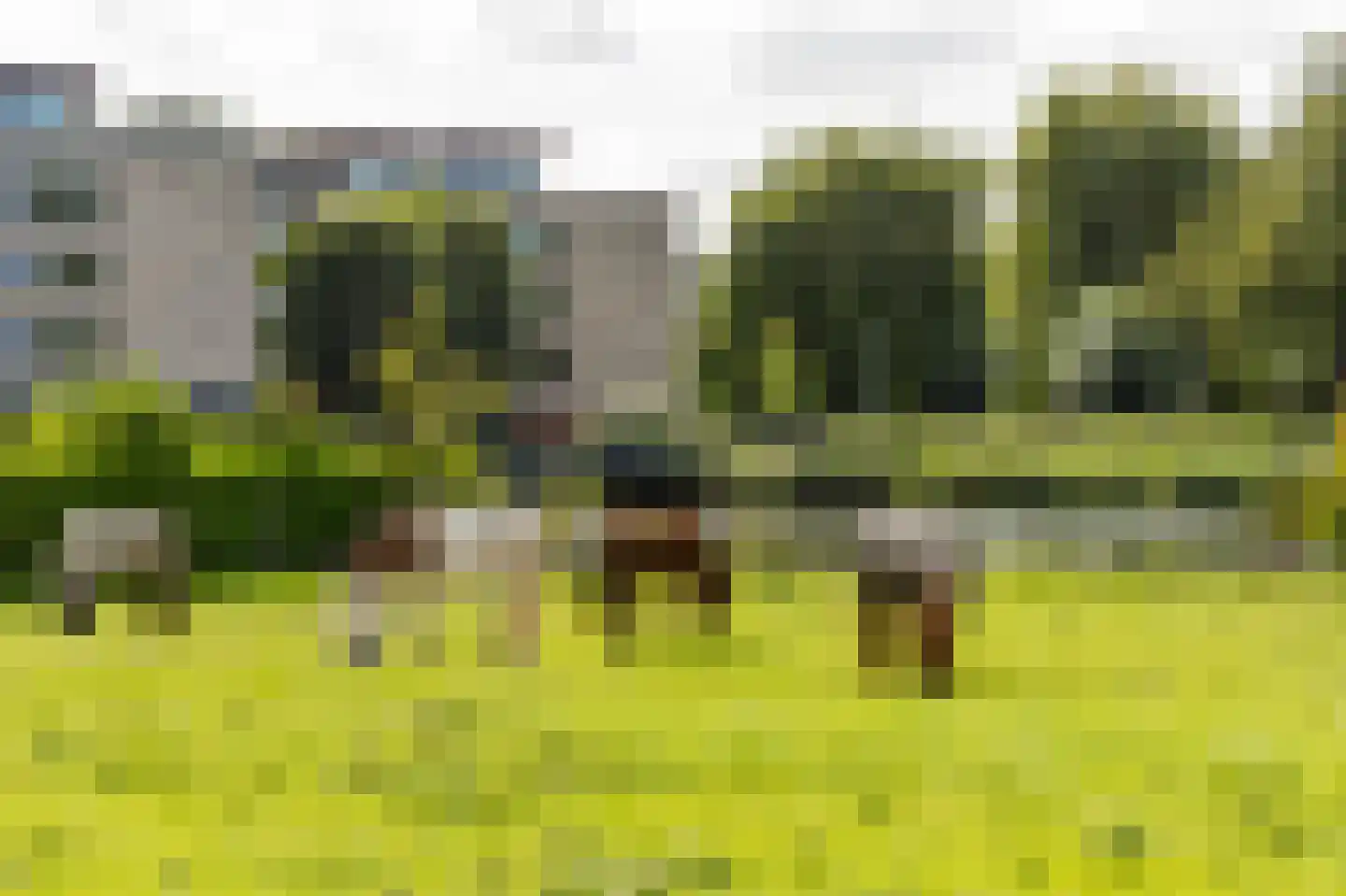 Pruimendijk 212 b Ridderkerk thumbnail 36