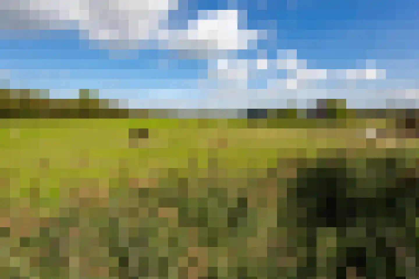 Pruimendijk 212 b Ridderkerk thumbnail 37