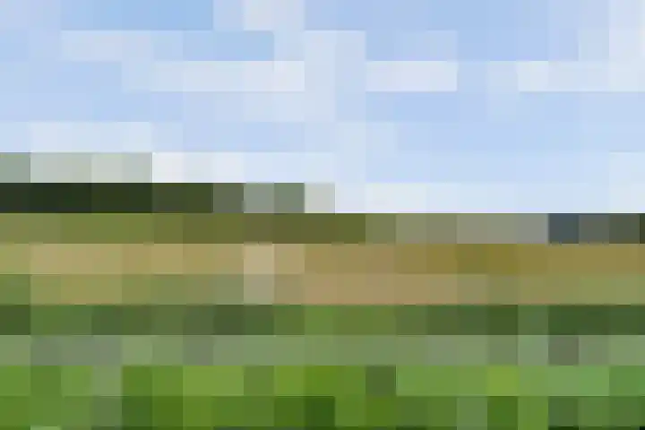 Pruimendijk 212 d Ridderkerk thumbnail 11