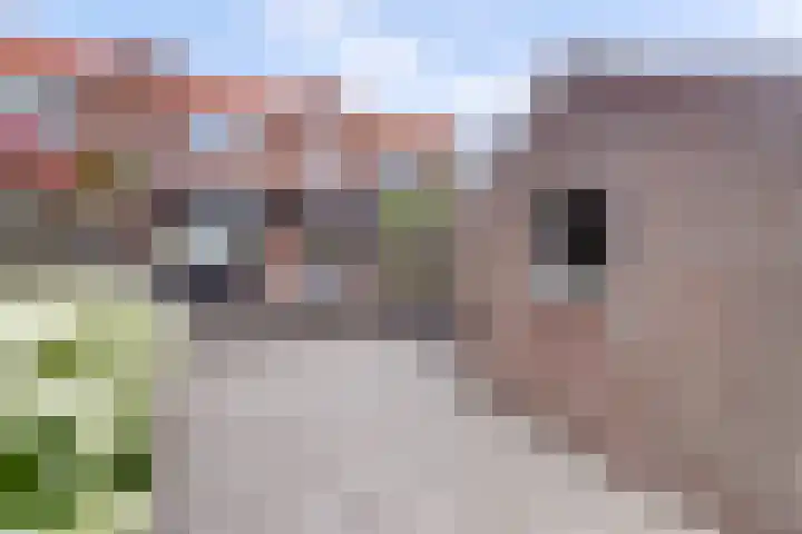 Pruimendijk 212 d Ridderkerk thumbnail 13