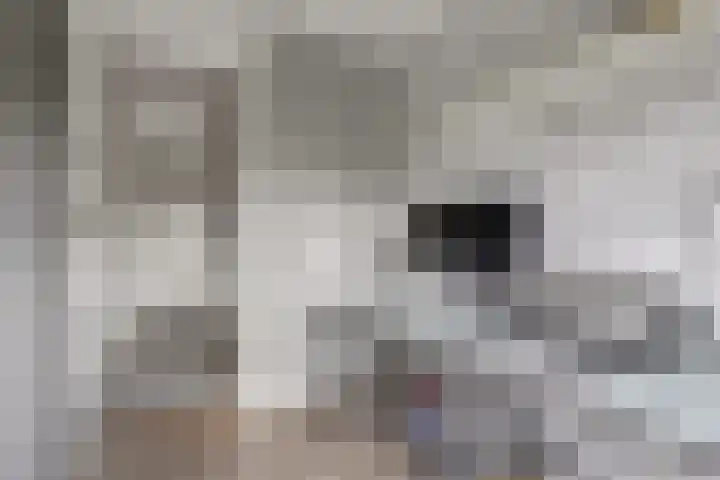 Pruimendijk 212 d Ridderkerk thumbnail 23
