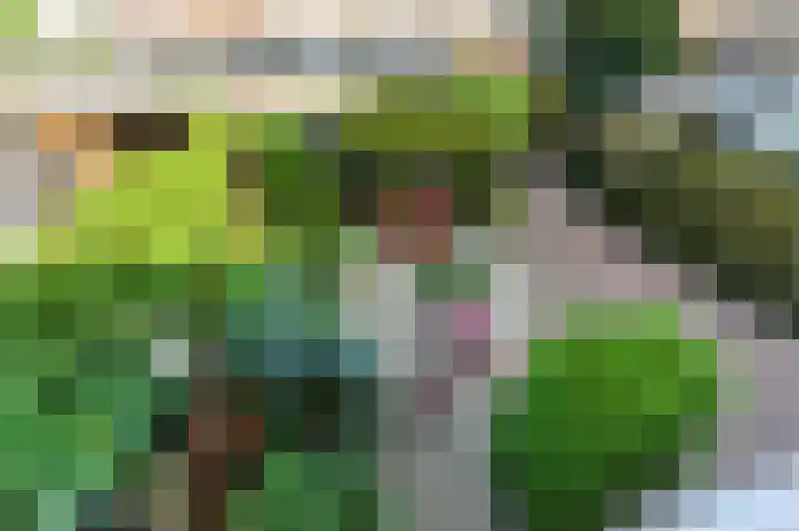 Pruimendijk 31 Ridderkerk thumbnail 18