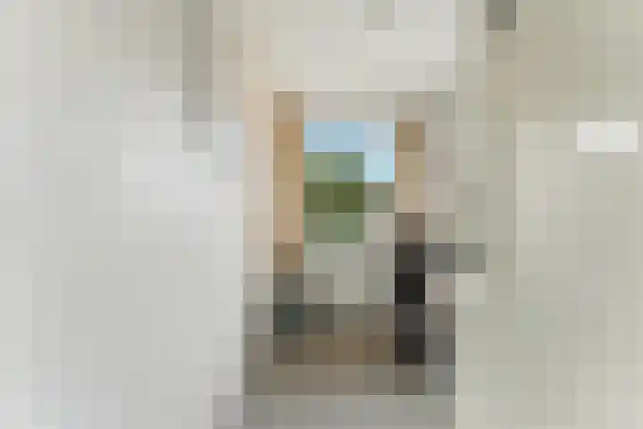 Pruimendijk 31 Ridderkerk thumbnail 26
