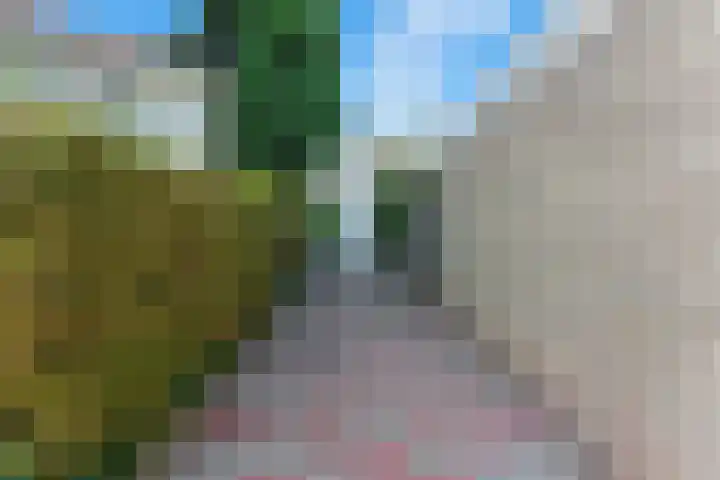 Pruimendijk 31 Ridderkerk thumbnail 47