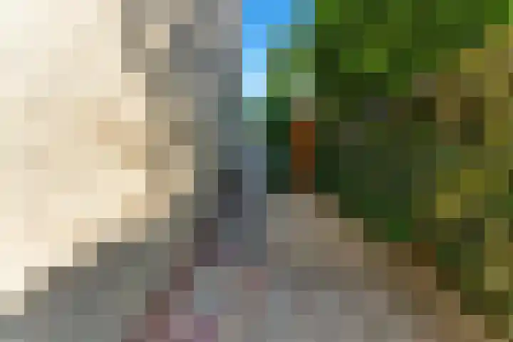 Pruimendijk 31 Ridderkerk thumbnail 48