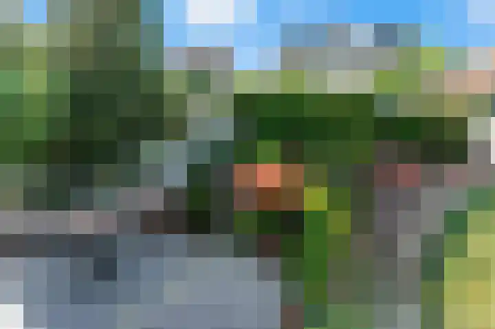 Pruimendijk 31 Ridderkerk thumbnail 53