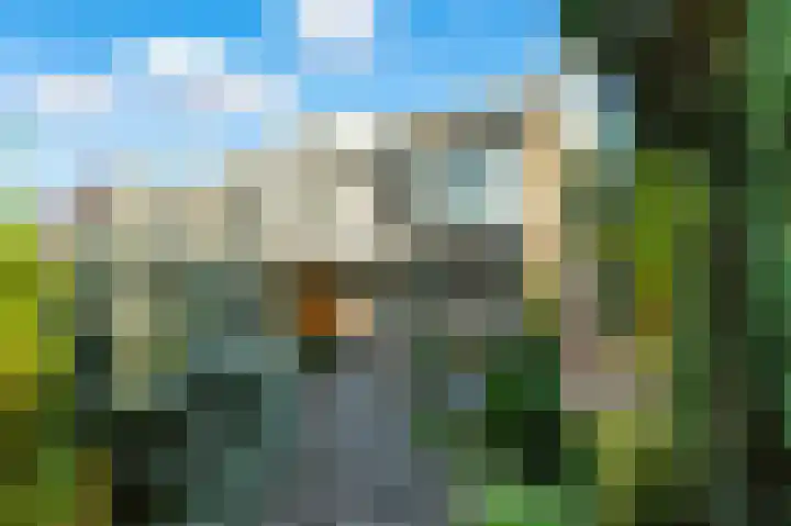 Pruimendijk 31 Ridderkerk thumbnail 67