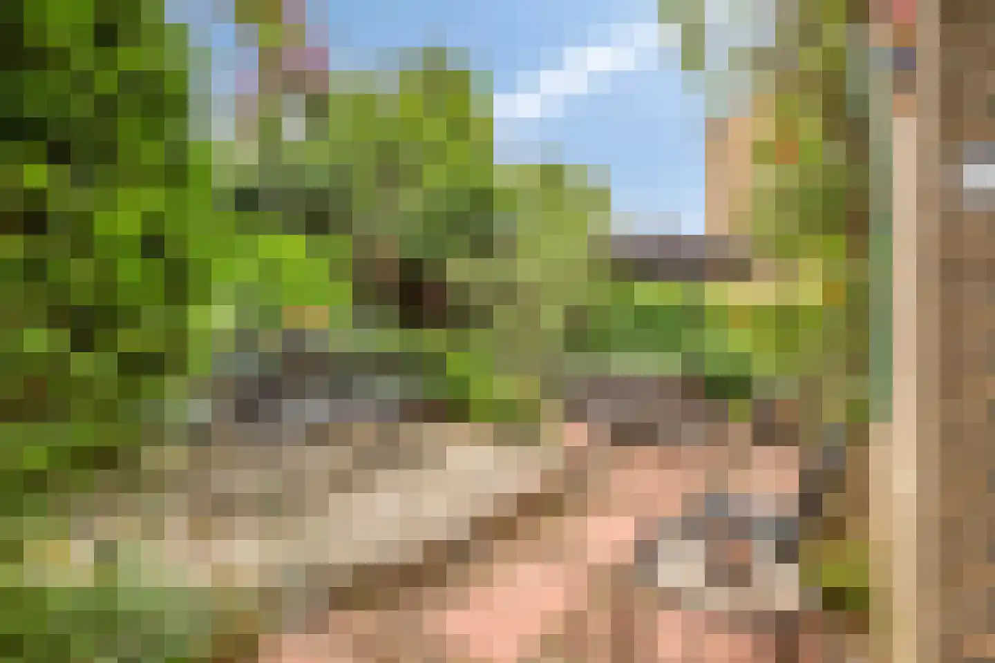 Pruimendijk 33 Ridderkerk thumbnail 37