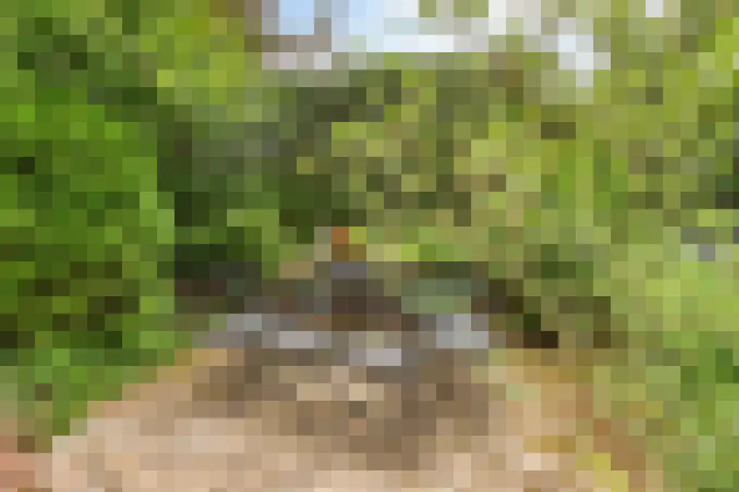 Pruimendijk 33 Ridderkerk thumbnail 38
