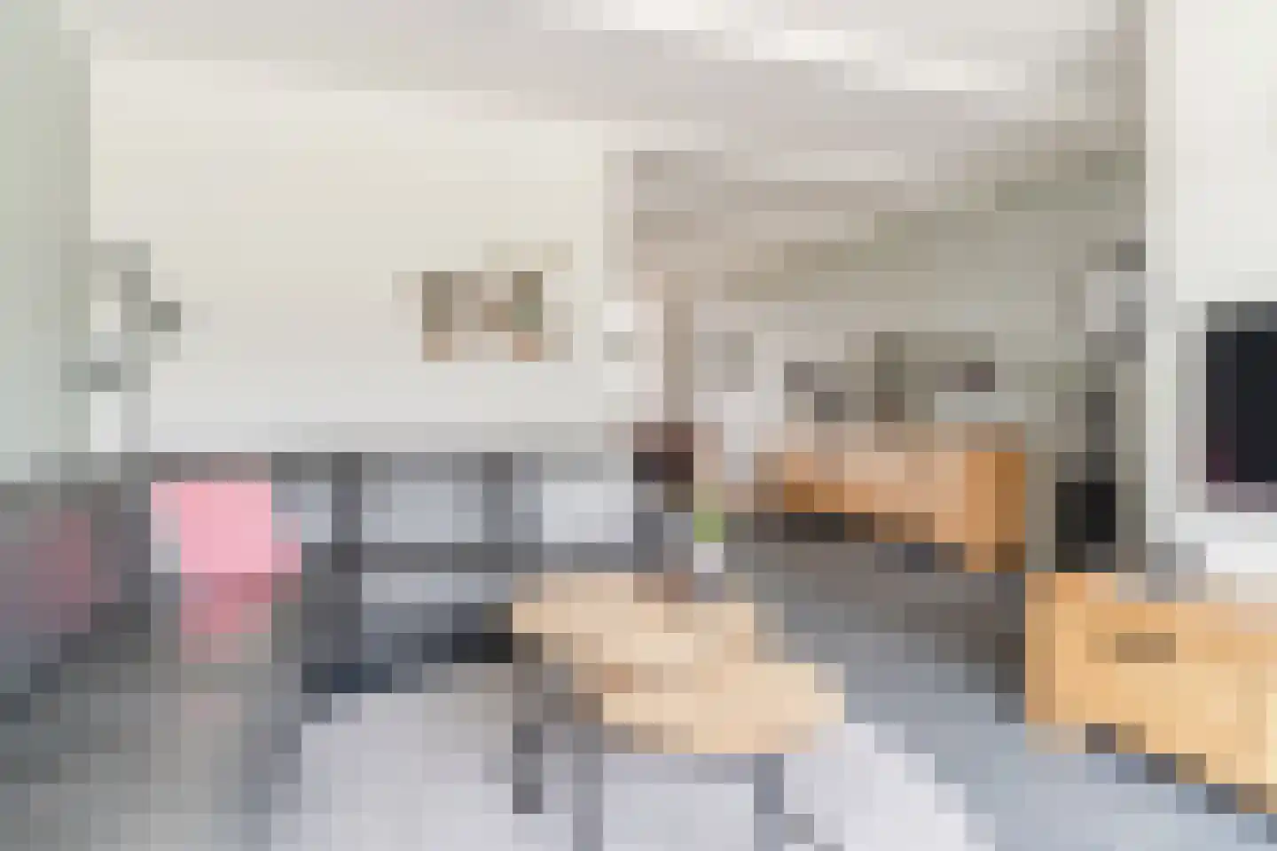 Pruimendreef 16 Arkel thumbnail 4