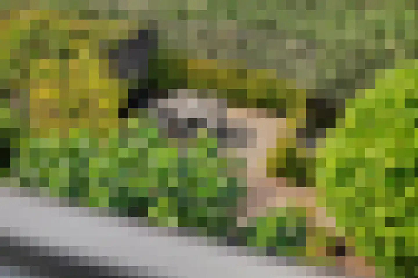Pruimengaarde 14 Schiedam thumbnail 41