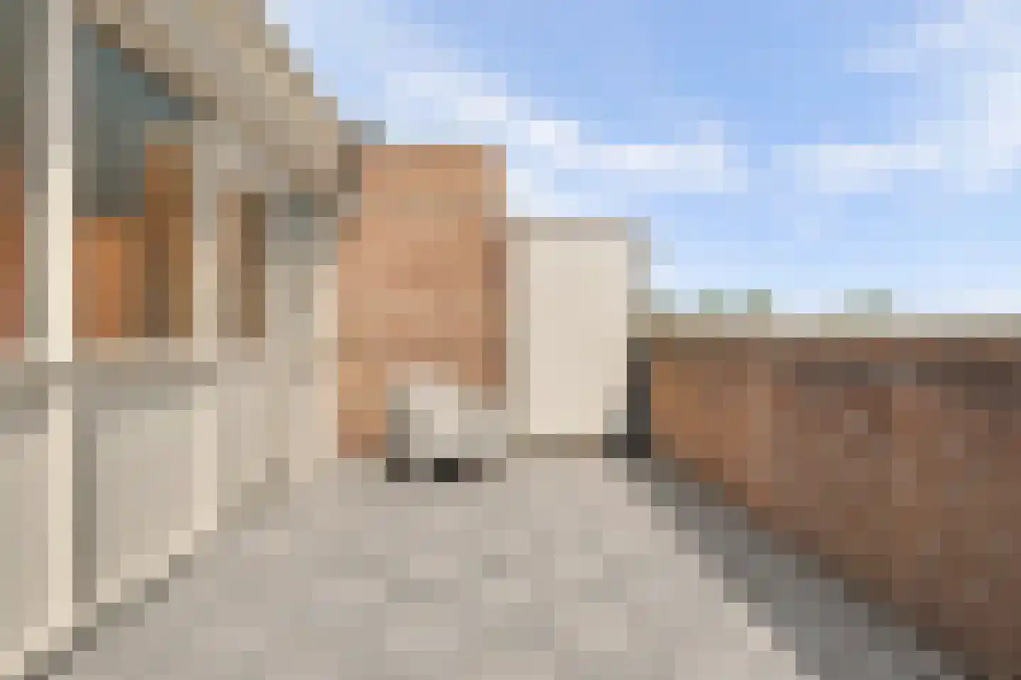 Pruimengaarde 14 Schiedam thumbnail 42