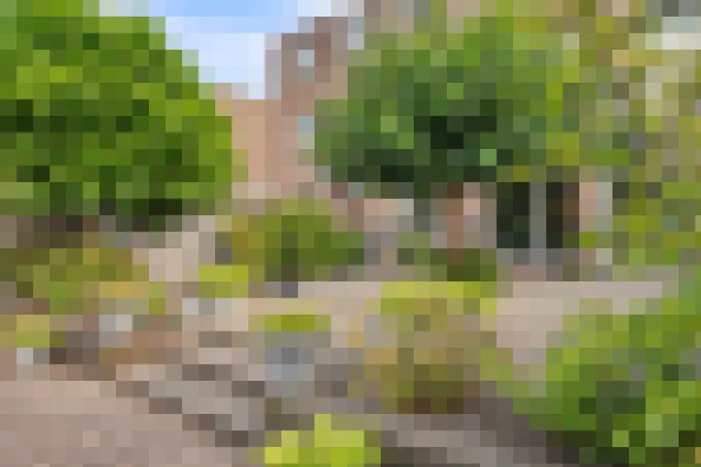 Pruimengaarde 14 Schiedam thumbnail 45
