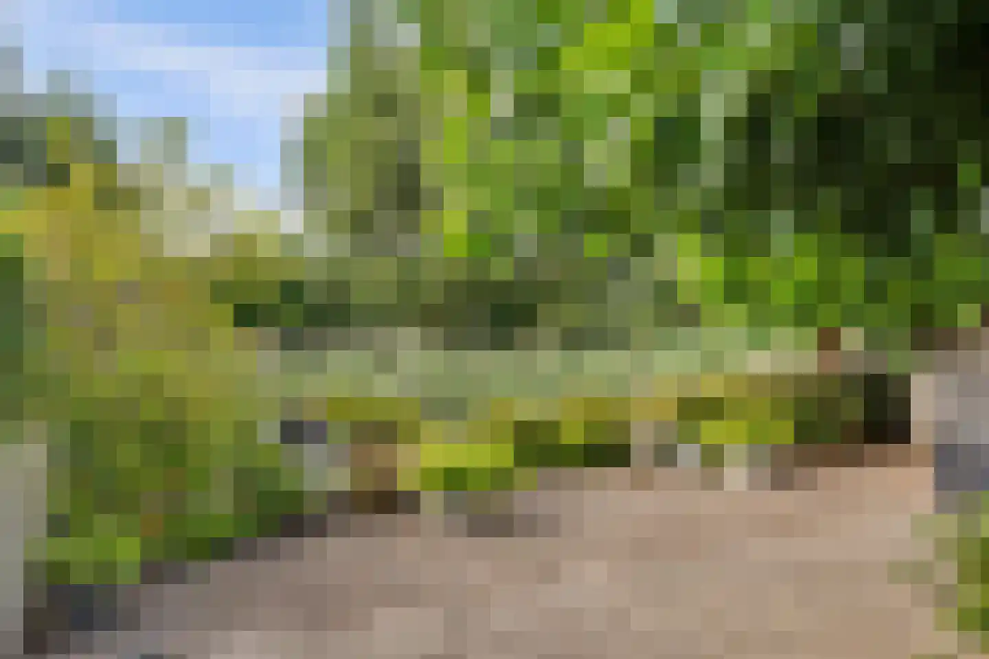 Pruimengaarde 14 Schiedam thumbnail 46