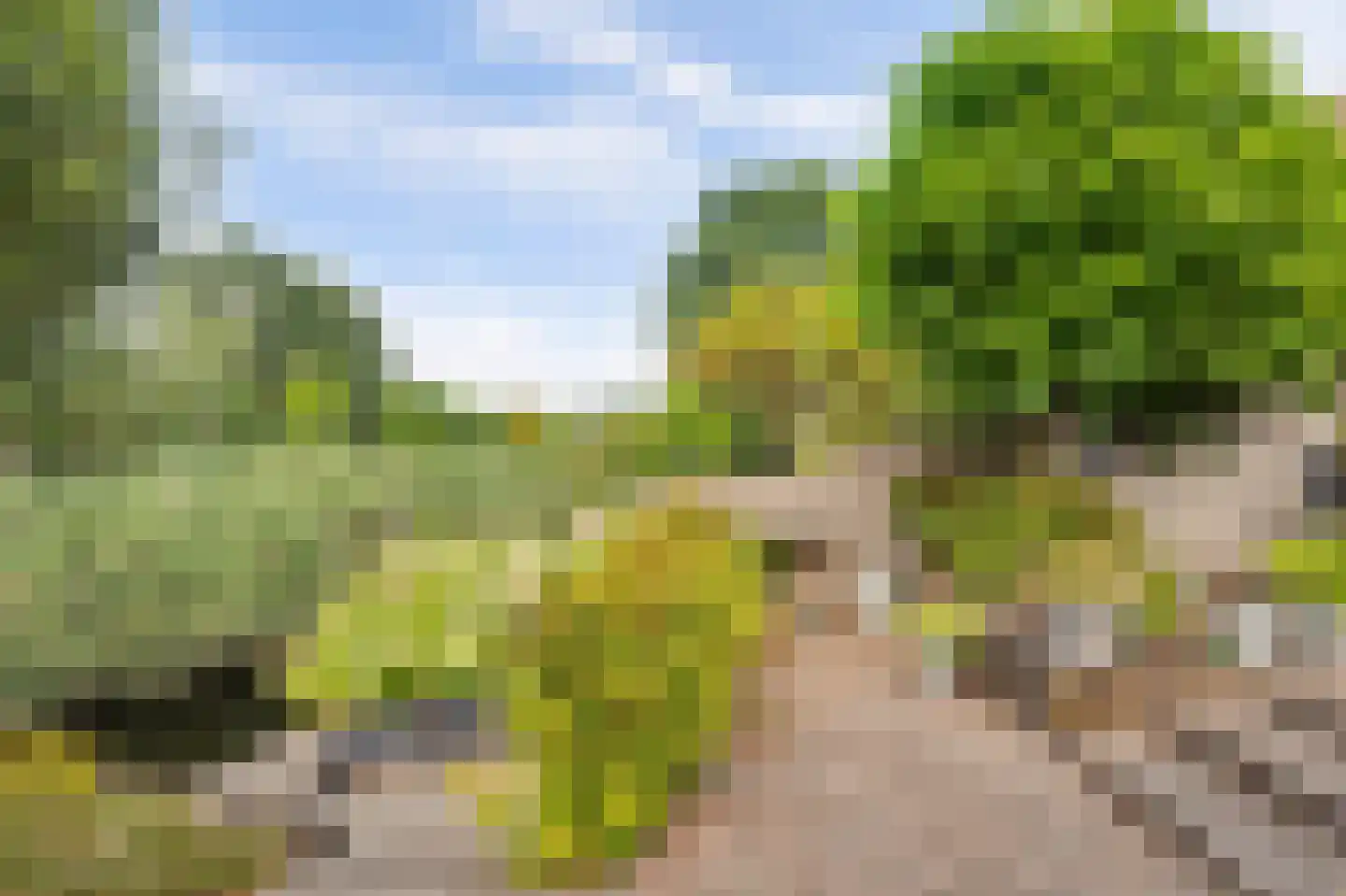 Pruimengaarde 14 Schiedam thumbnail 47