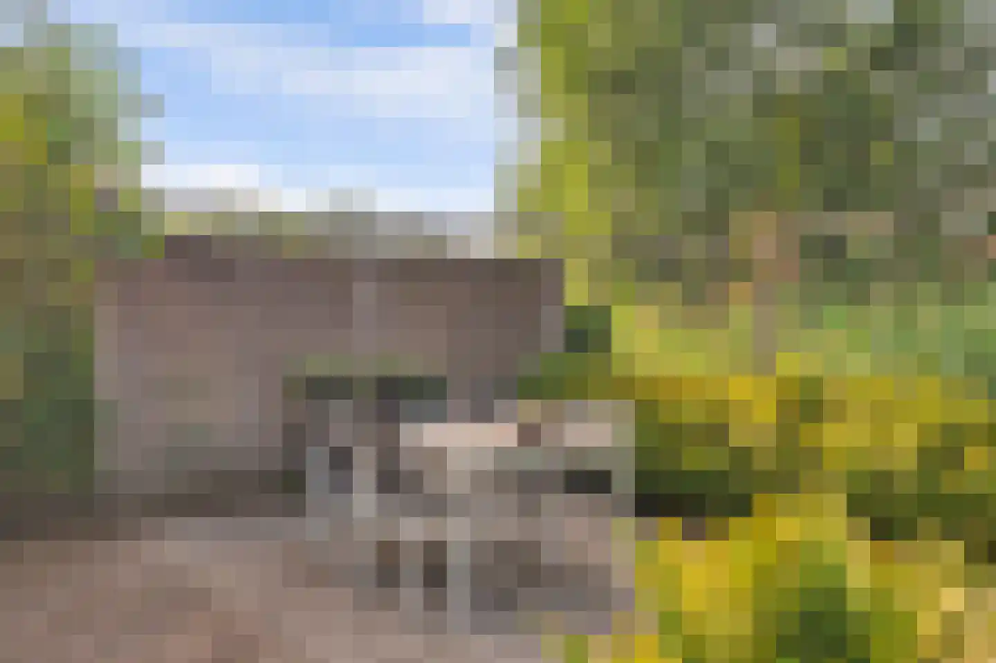 Pruimengaarde 14 Schiedam thumbnail 48