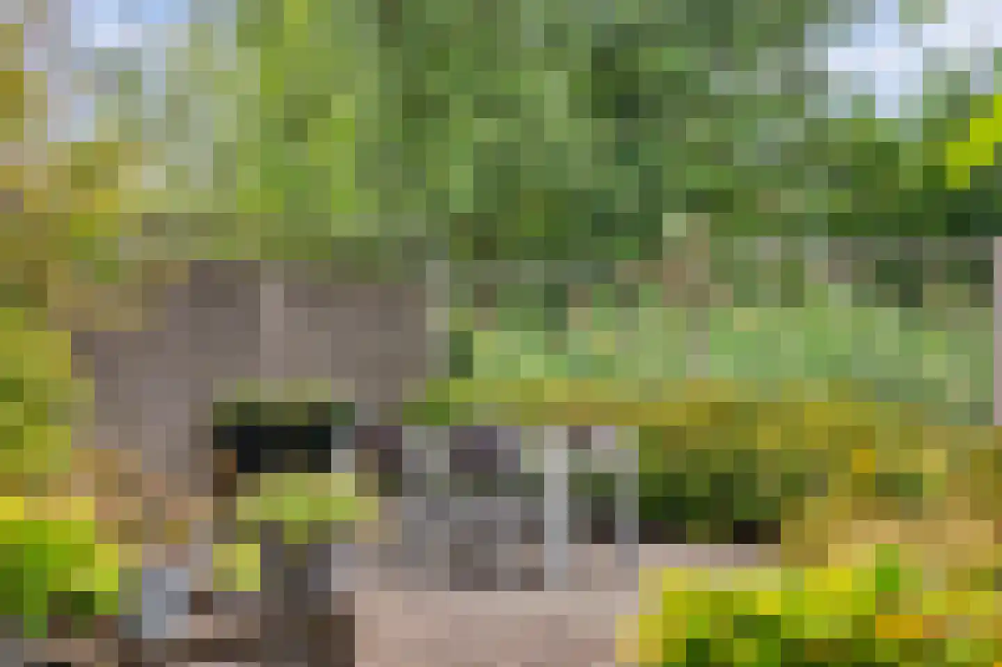 Pruimengaarde 14 Schiedam thumbnail 49