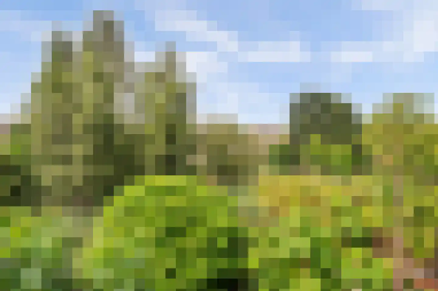 Pruimengaarde 14 Schiedam thumbnail 51