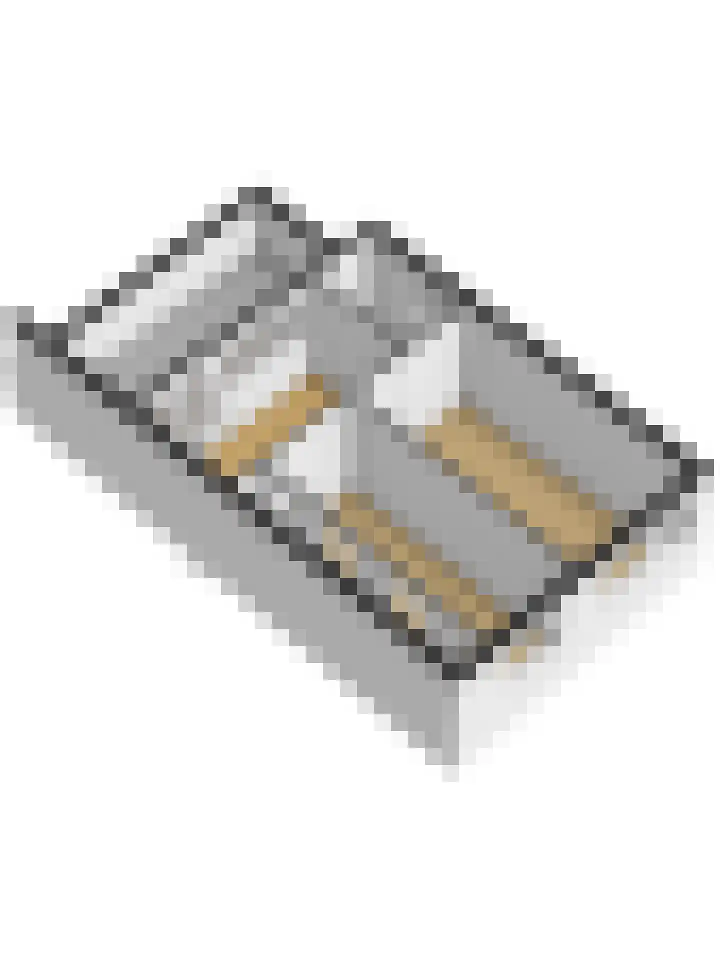 Pruimengaarde 14 Schiedam thumbnail 64