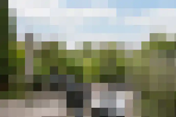 Pruimengaarde 18 Schiedam thumbnail 21