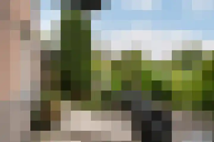 Pruimengaarde 18 Schiedam thumbnail 22