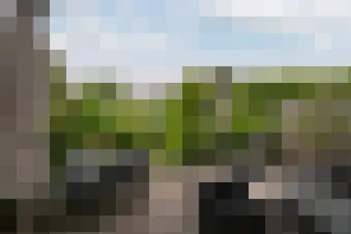 Pruimengaarde 18 Schiedam thumbnail 23