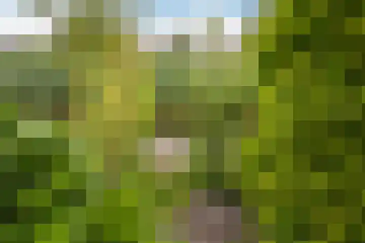 Pruimengaarde 18 Schiedam thumbnail 24