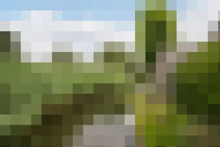 Pruimengaarde 18 Schiedam thumbnail 26