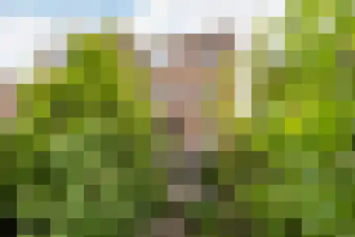 Pruimengaarde 18 Schiedam thumbnail 27