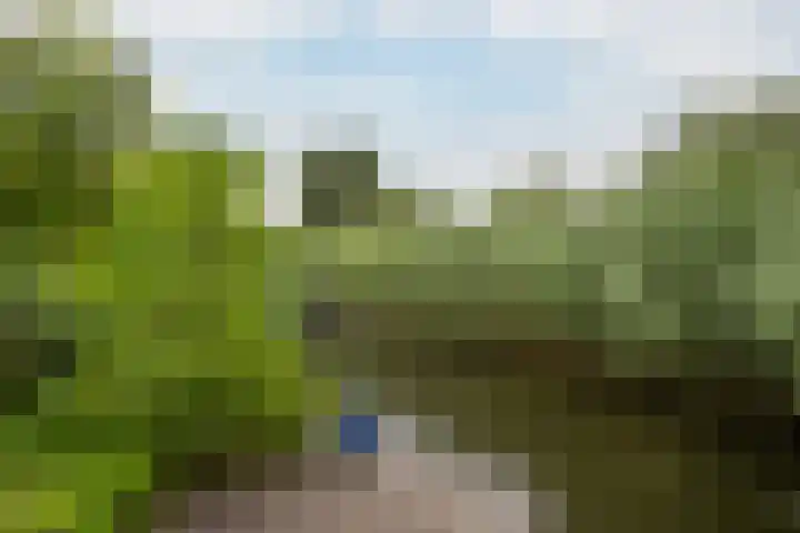 Pruimengaarde 18 Schiedam thumbnail 28