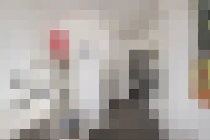 Pruimengaarde 18 Schiedam thumbnail 31