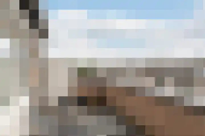 Pruimengaarde 18 Schiedam thumbnail 33