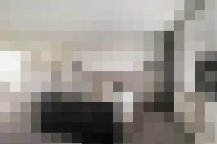 Pruimengaarde 18 Schiedam thumbnail 36