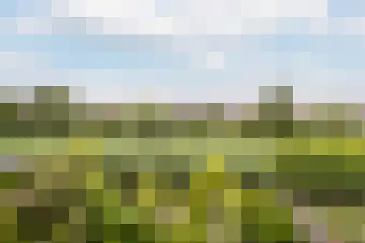 Pruimengaarde 18 Schiedam thumbnail 48
