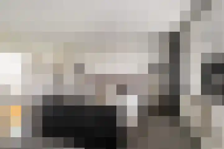 Pruimengaarde 18 Schiedam thumbnail 5