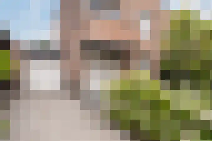 Pruimengaarde 18 Schiedam thumbnail 7