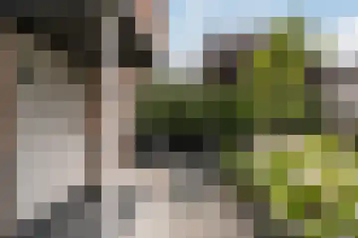Pruimengaarde 18 Schiedam thumbnail 8