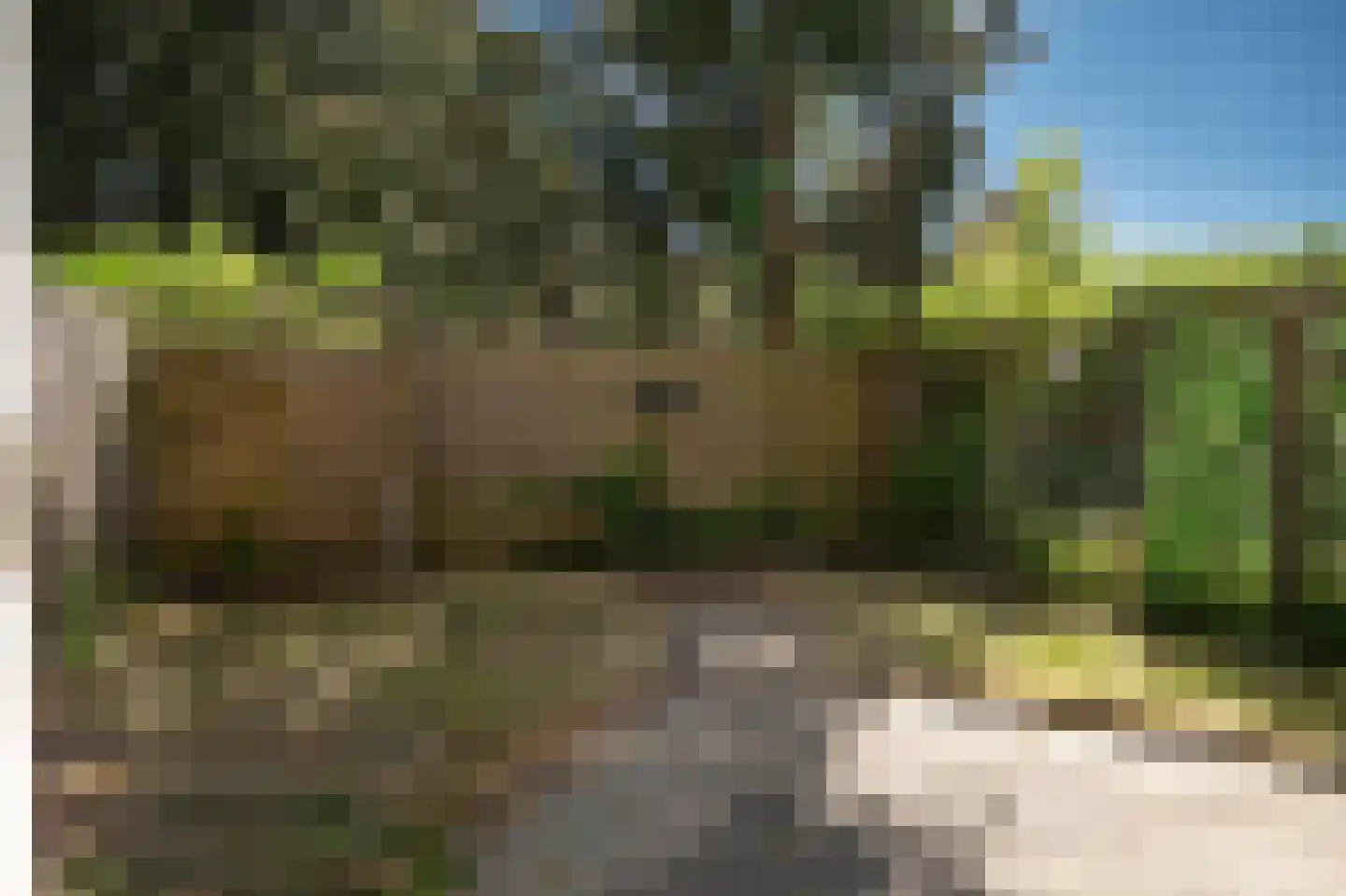 Pruimengaarde 18 Zoetermeer thumbnail 25