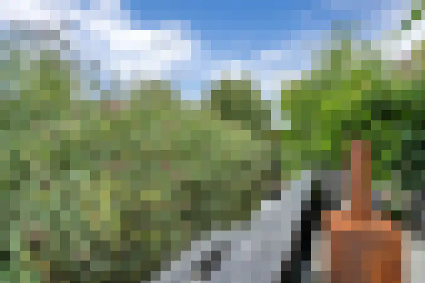 Pruimengaarde 19 Schiedam thumbnail 31