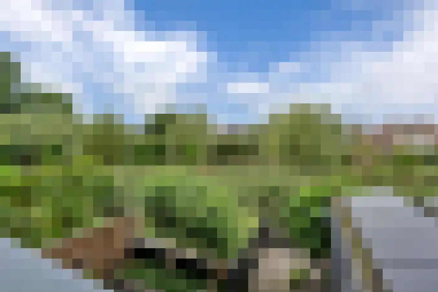 Pruimengaarde 19 Schiedam thumbnail 36
