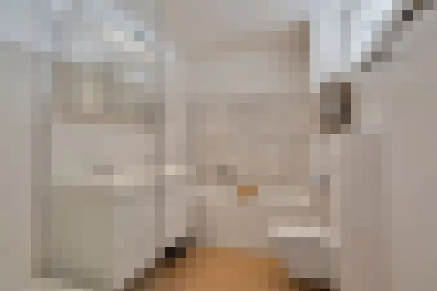 Pruimengaarde 19 Schiedam thumbnail 37