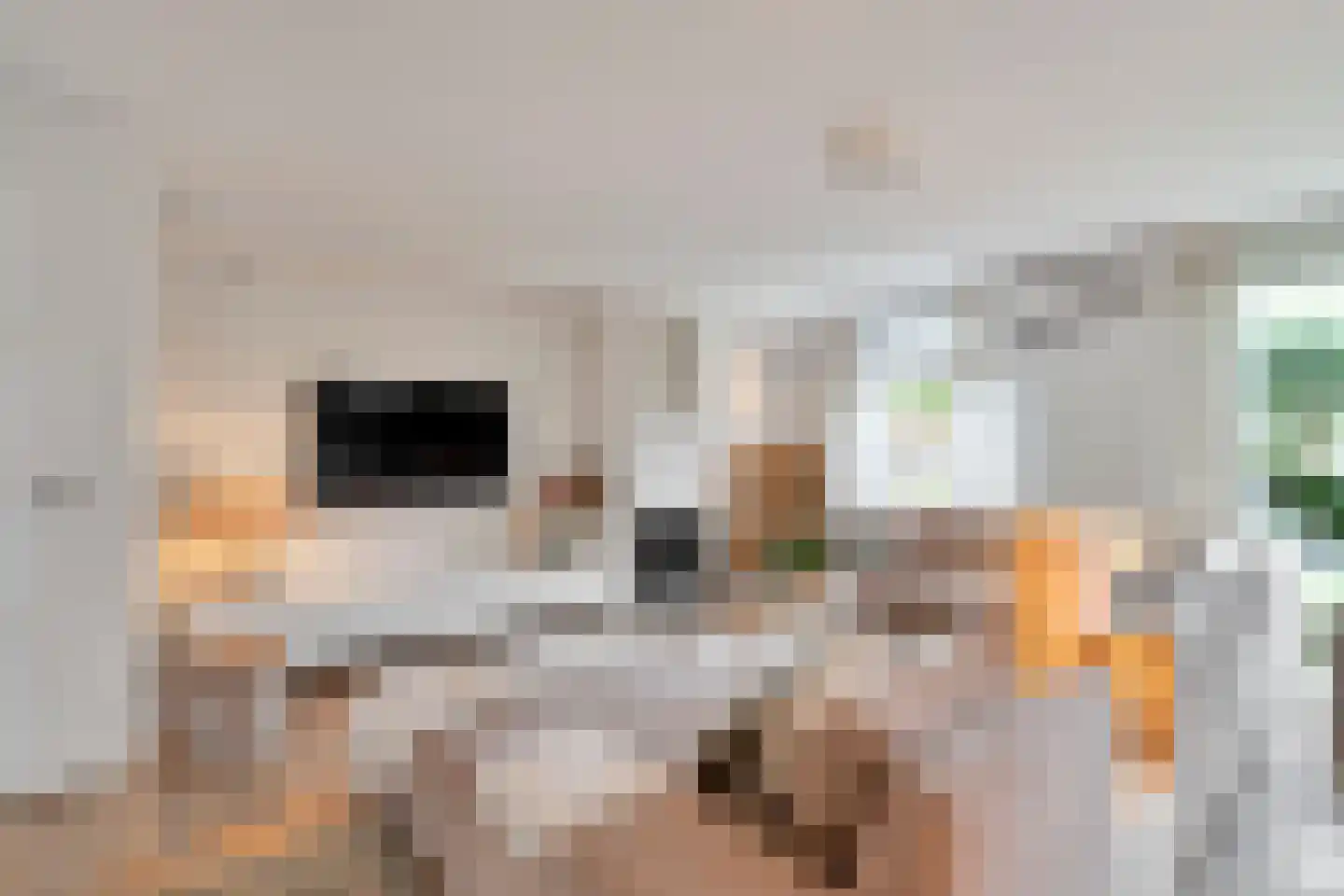 Pruimengaarde 19 Schiedam thumbnail 7